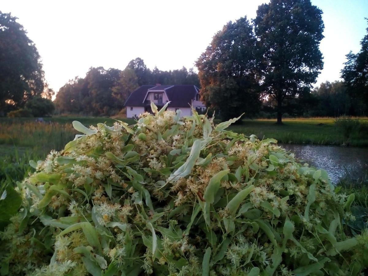 Willa Liepziedos Ēdole Zewnętrze zdjęcie